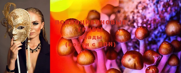 дурь Волоколамск